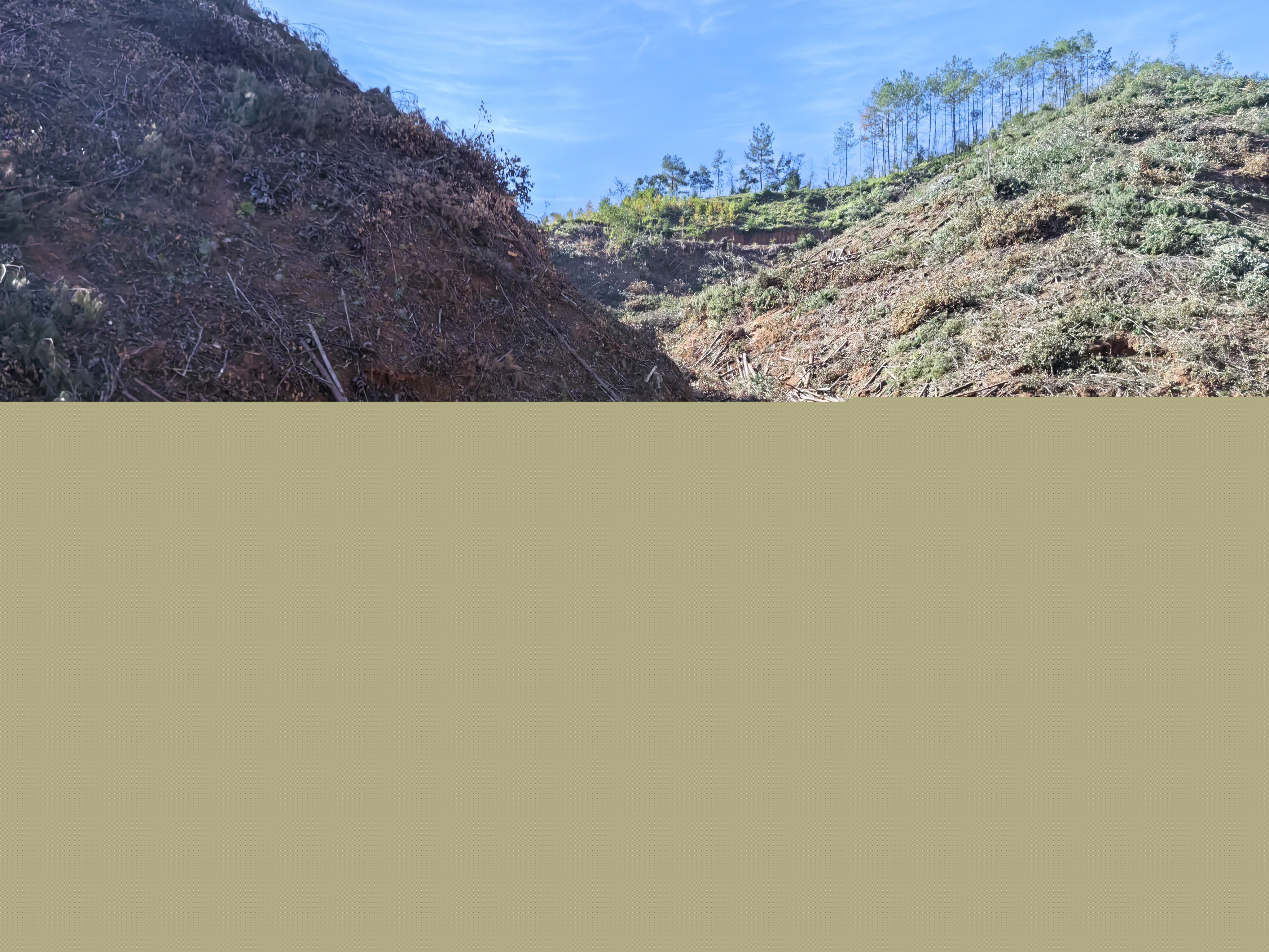 平安常青，我們在行動——常青分公司開展安全生產日活動