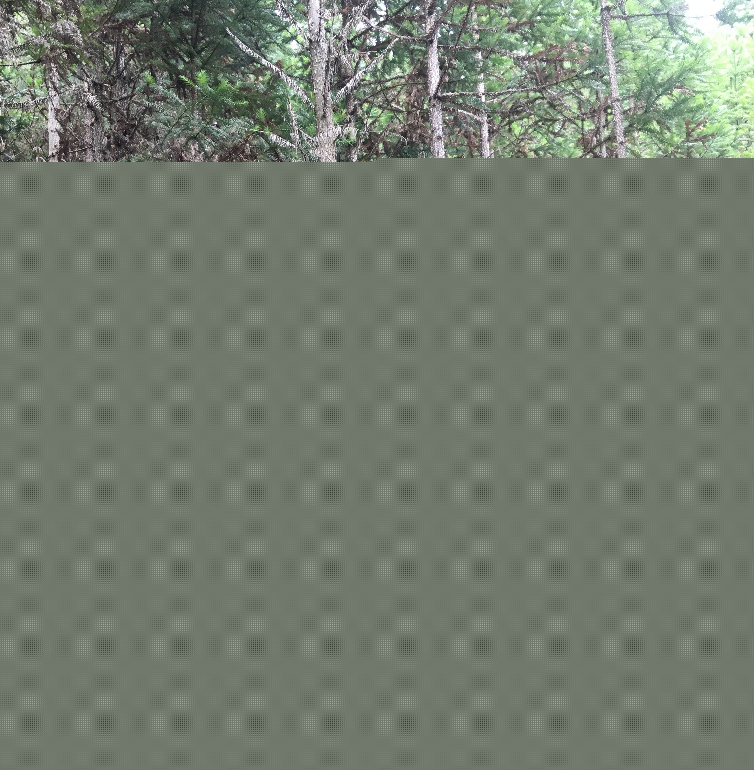 支部結對共建 促進黨建業務“雙提升”