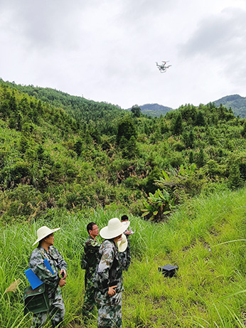 嚴把森林培育質量關，譜寫資源培育新篇章