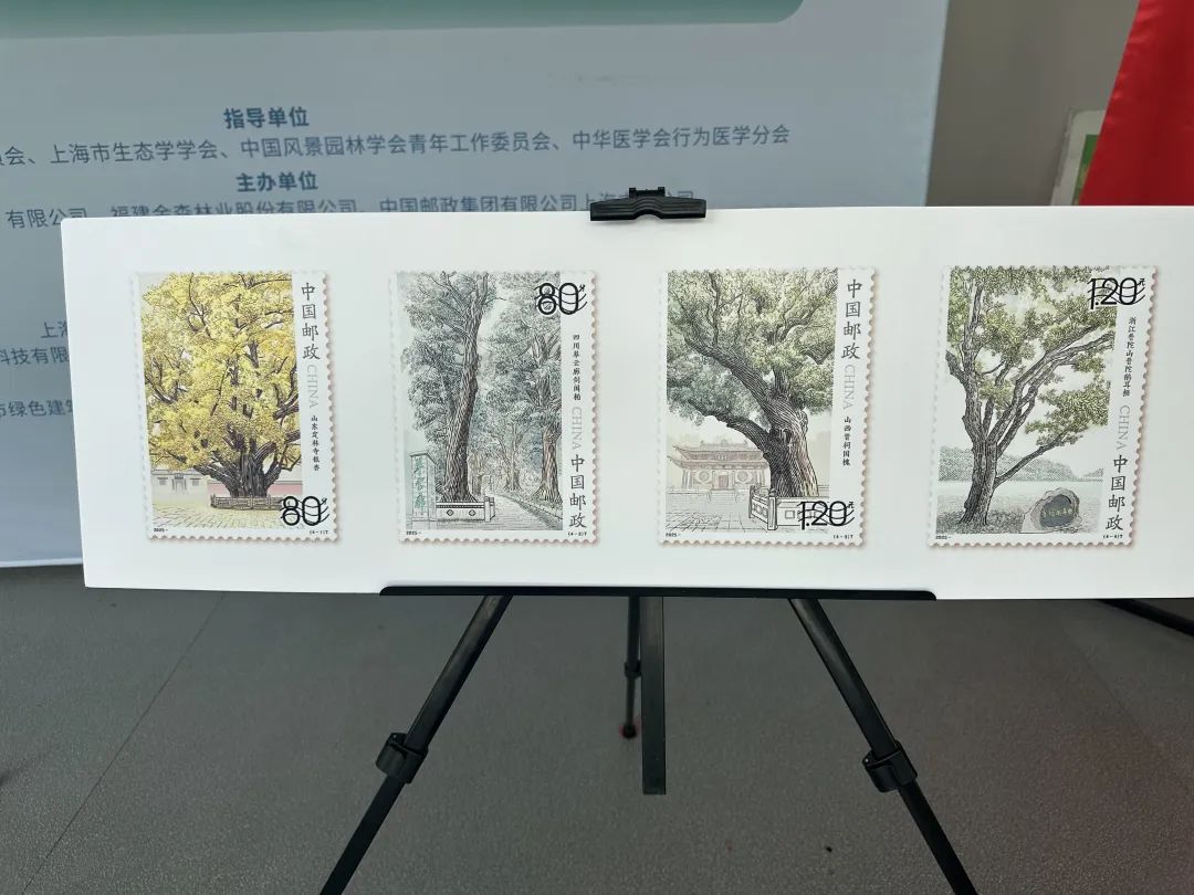 全國(guó)生態(tài)日來了！福建金森攜手舉辦上海“山海同普·杏好有你”活動(dòng)